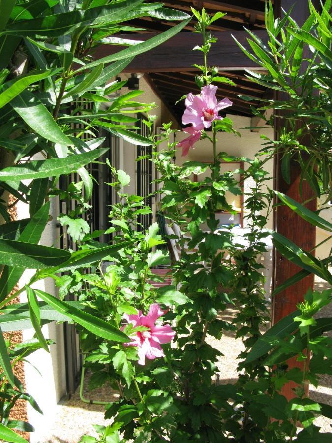 Vias Plage - Maison De Vacances Exterior foto